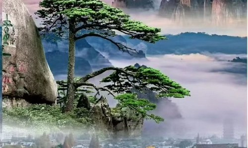 中牟出发黄山千岛湖宏村双卧五日游 1880 元起｜黄山云海+徽州古村+千岛湖