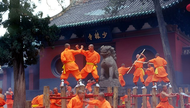 中牟出发少林寺龙门石窟一日游 268 元起｜塔林+西山石窟，家门口接送