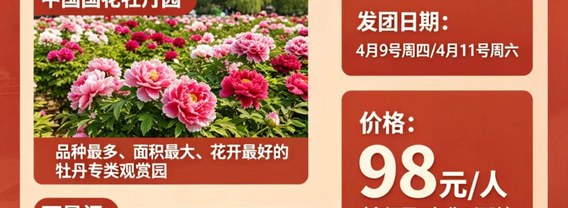 【洛阳牡丹三日游】中牟出发洛阳牡丹+龙门石窟+云台山+开封 3 日 1100 元起